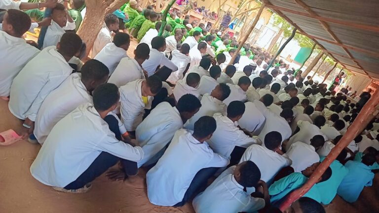 Engange Children (2)