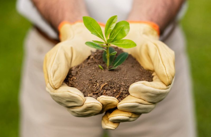 Darlon Activities (1)